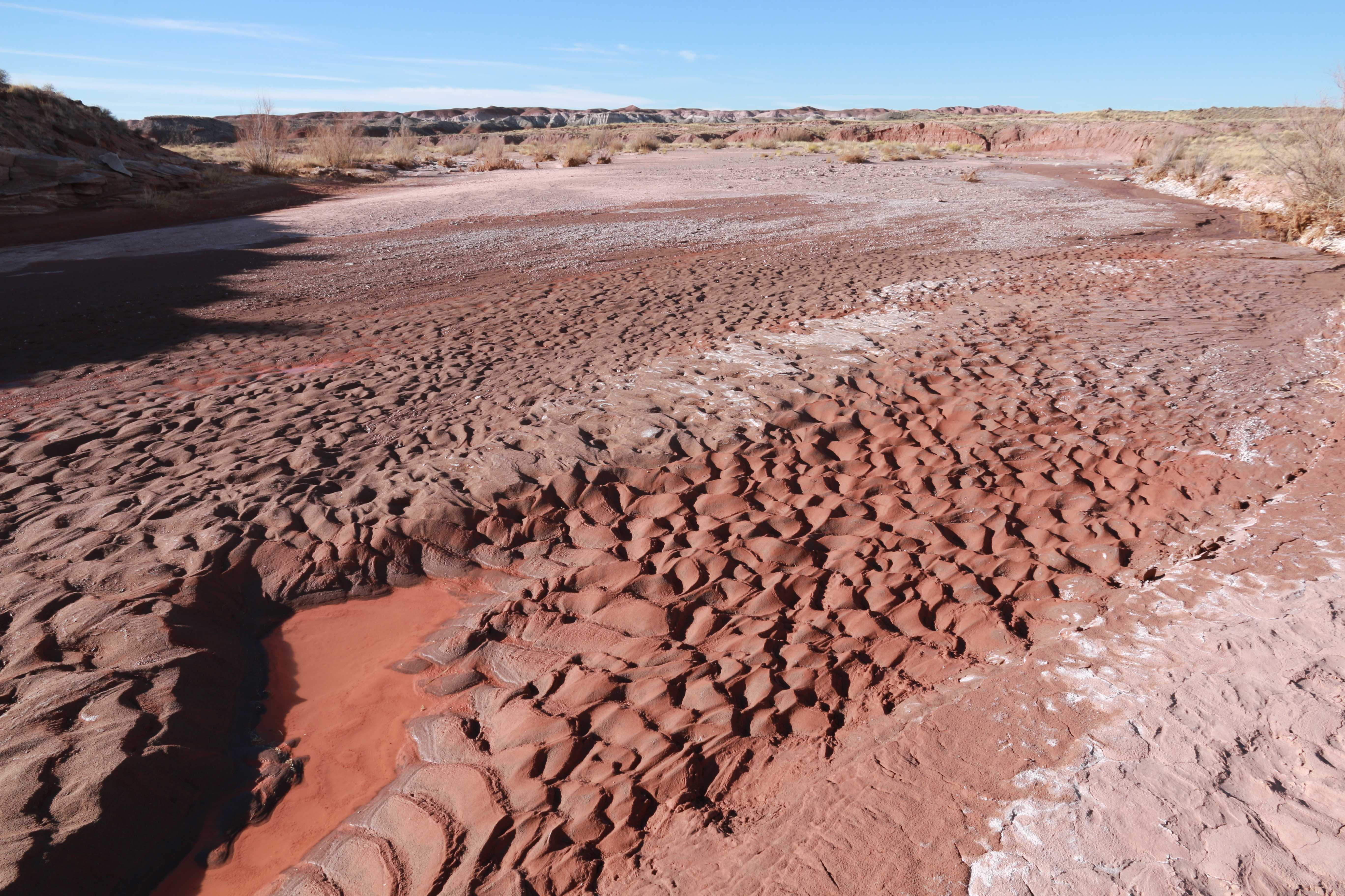 Petrified Forest NP